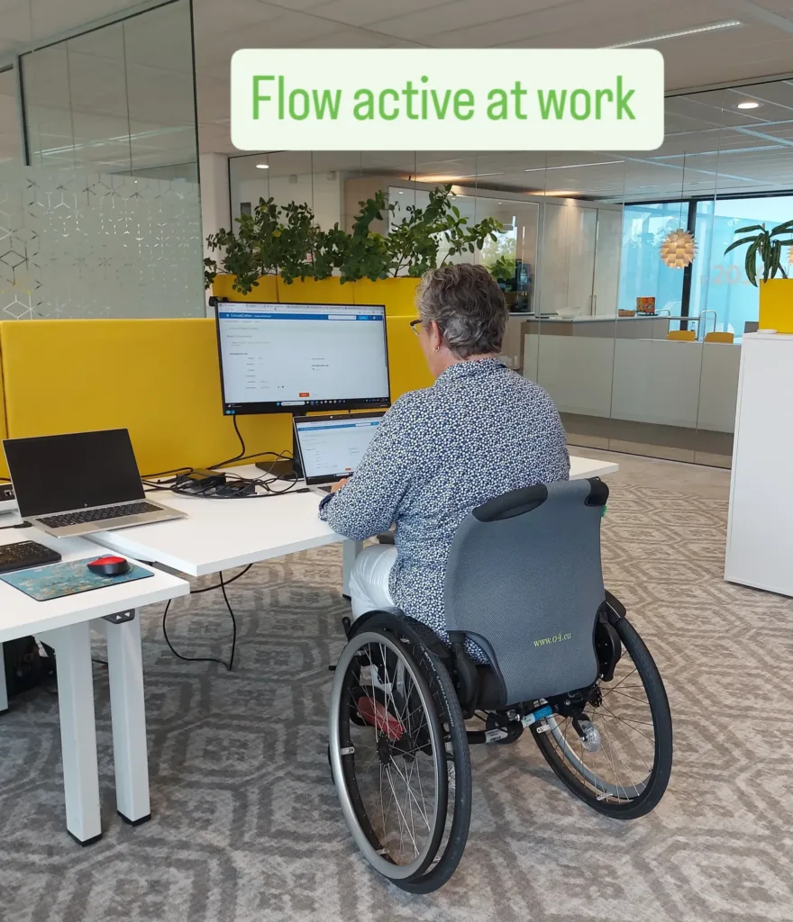 Een investering in gezondheid en verlaagde zorgkosten flow active at work - Een investering in gezondheid en verlaagde zorgkosten