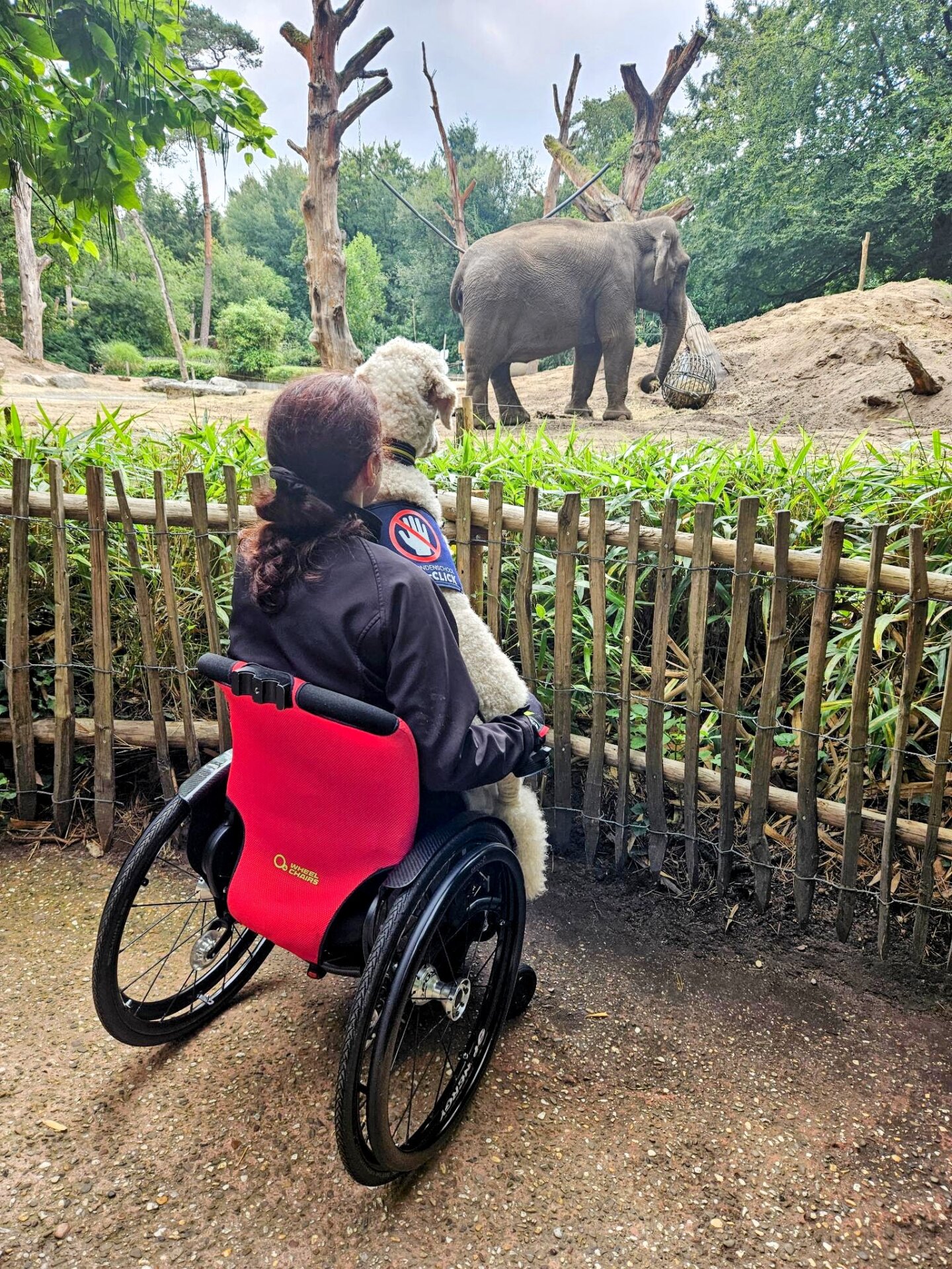 Hilde met hulphond Hilde in FLOW Active in dierentuin